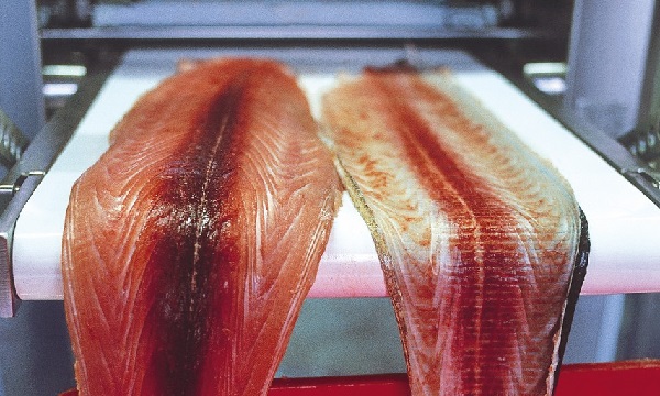 Fish Skinners